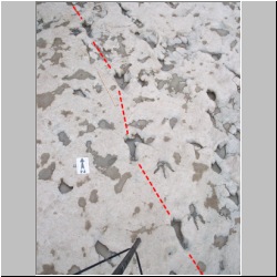 100_1542 (2009-07-27s)m diag.jpg